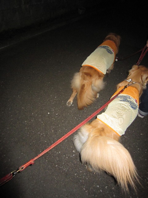 ファイル 1793-5.jpg