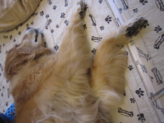 ファイル 1794-3.jpg