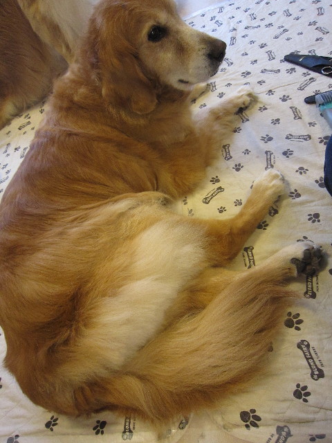 ファイル 1794-4.jpg