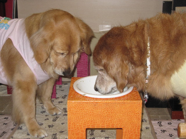 ファイル 1795-5.jpg