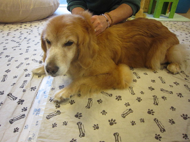 ファイル 1797-1.jpg