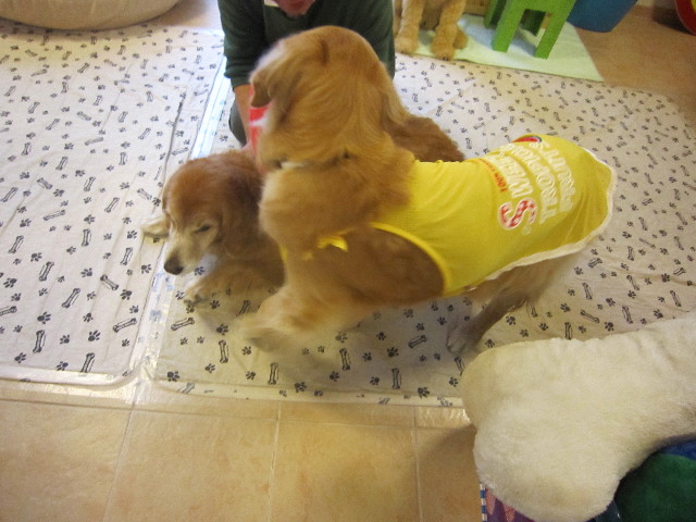 ファイル 1797-2.jpg