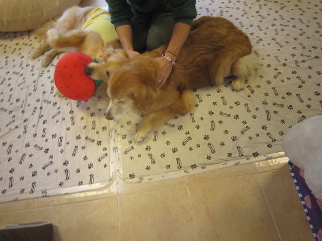 ファイル 1797-3.jpg