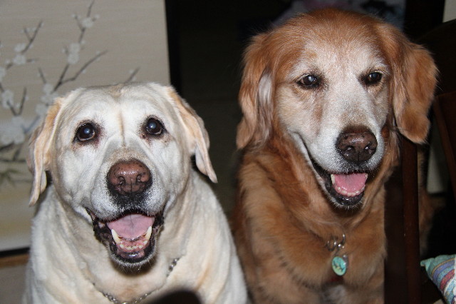 ファイル 1798-3.jpg