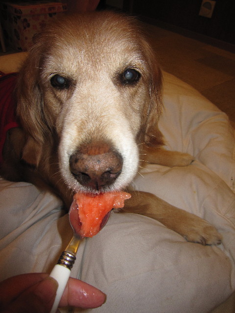 ファイル 1799-5.jpg