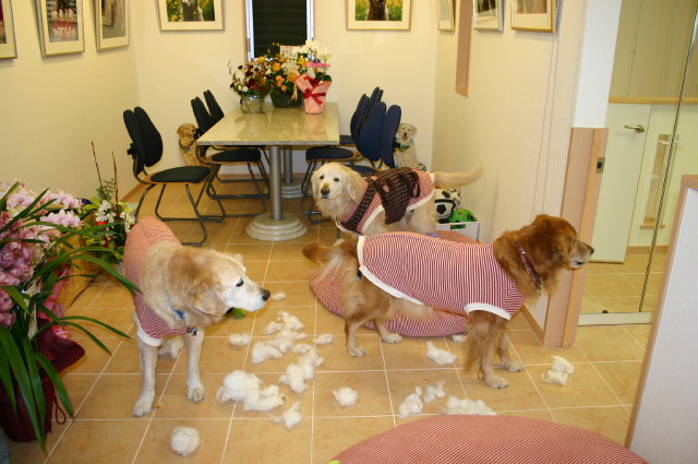 ファイル 180-1.jpg