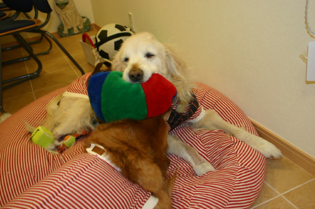 ファイル 180-2.jpg