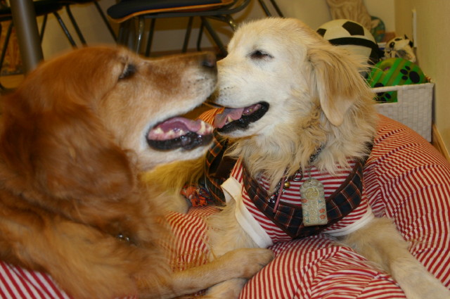 ファイル 180-3.jpg