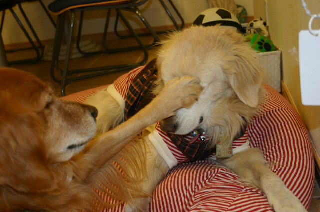 ファイル 180-4.jpg