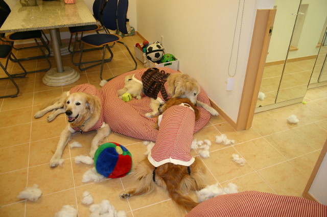 ファイル 180-5.jpg