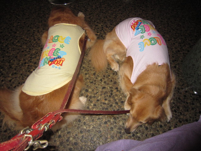 ファイル 1800-4.jpg