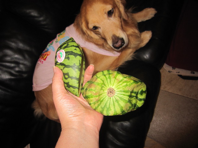 ファイル 1801-3.jpg