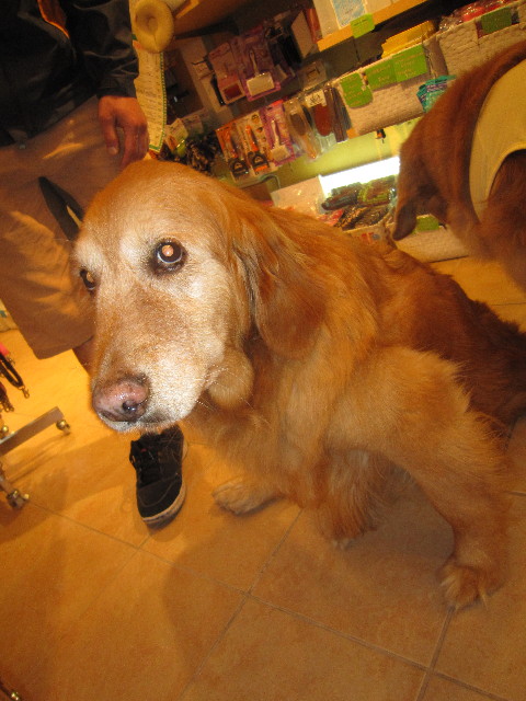 ファイル 1802-3.jpg