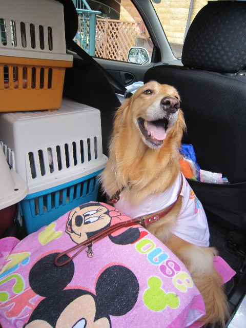 ファイル 1804-1.jpg