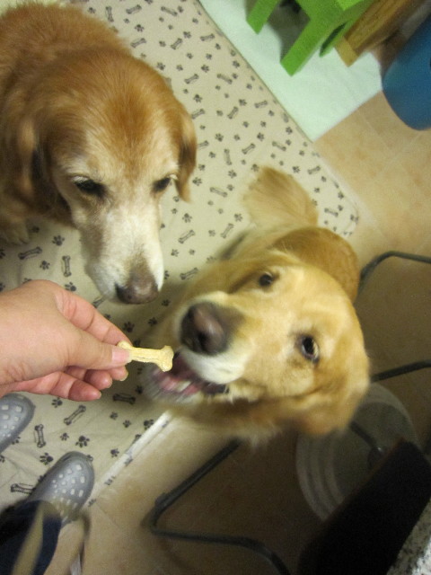 ファイル 1804-3.jpg