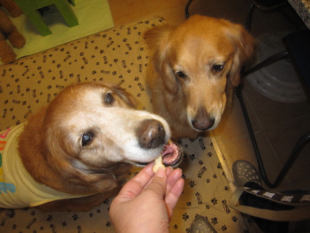 ファイル 1804-4.jpg