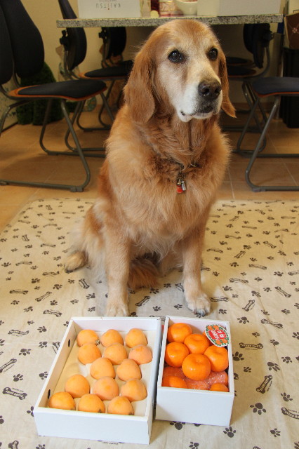 ファイル 1805-2.jpg