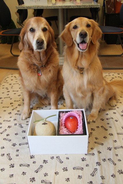 ファイル 1805-4.jpg