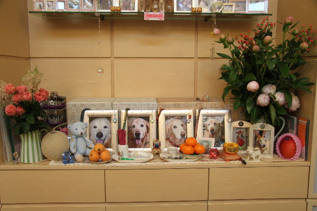 ファイル 1805-5.jpg