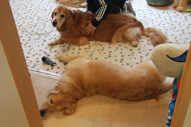 ファイル 1806-4.jpg