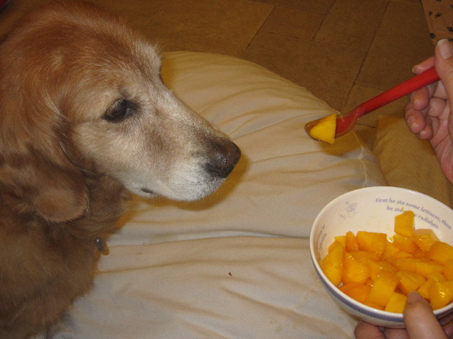 ファイル 1807-1.jpg