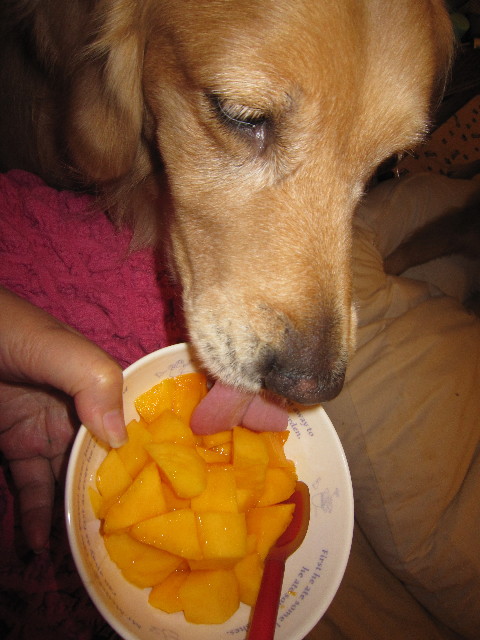 ファイル 1807-2.jpg