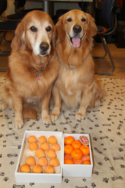 ファイル 1807-3.jpg