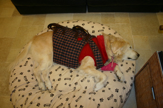 ファイル 1807-5.jpg