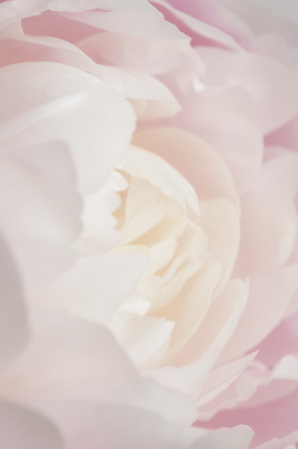 ファイル 1809-1.jpg