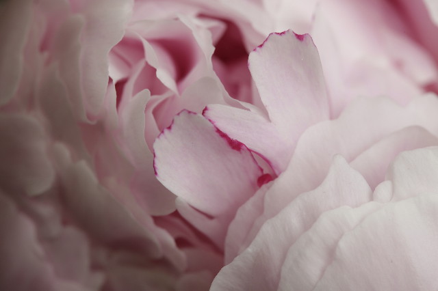 ファイル 1809-5.jpg