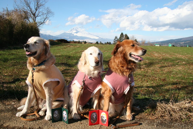 ファイル 181-1.jpg