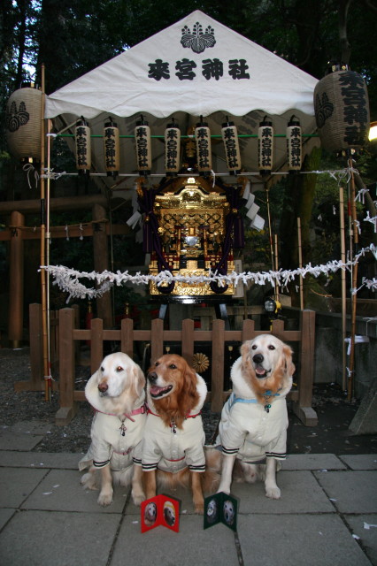 ファイル 181-3.jpg