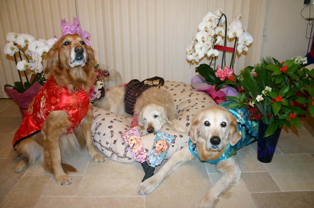 ファイル 181-5.jpg