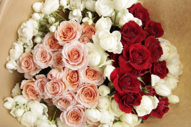 ファイル 1810-1.jpg