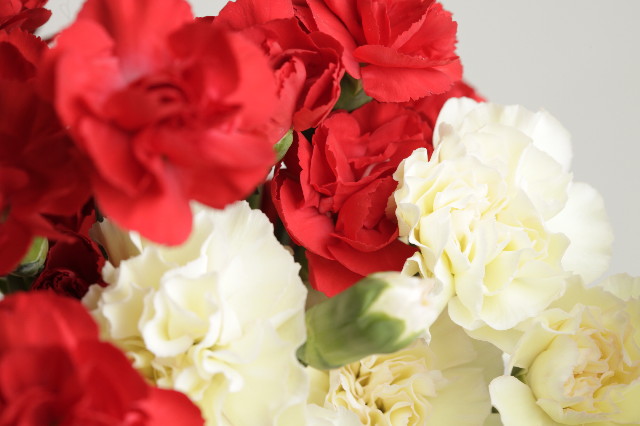 ファイル 1810-3.jpg