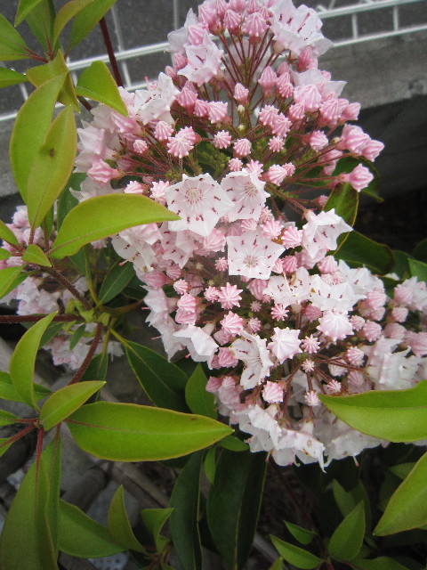 ファイル 1810-4.jpg