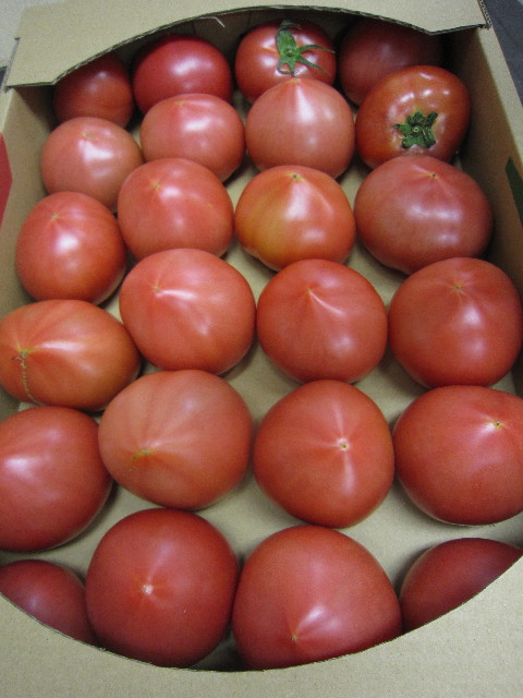 ファイル 1811-1.jpg