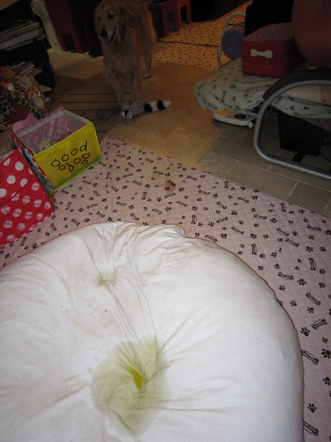 ファイル 1812-2.jpg