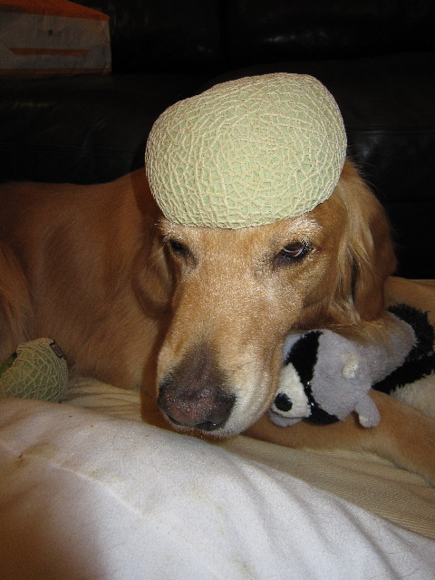 ファイル 1812-3.jpg