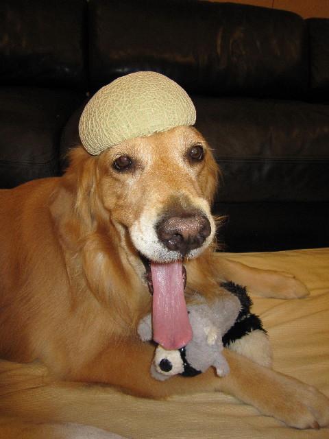 ファイル 1812-5.jpg