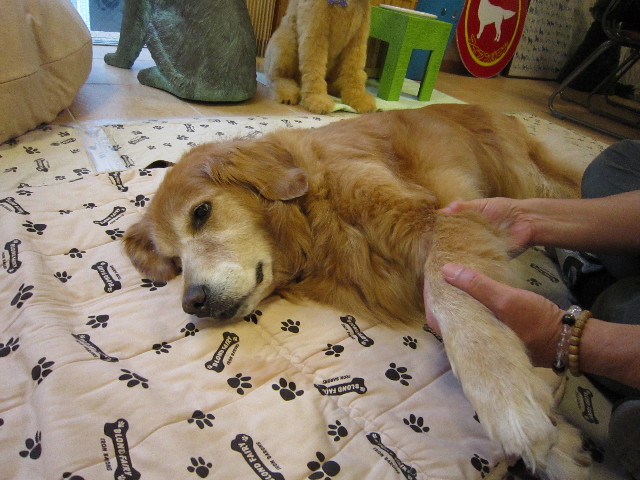 ファイル 1813-1.jpg