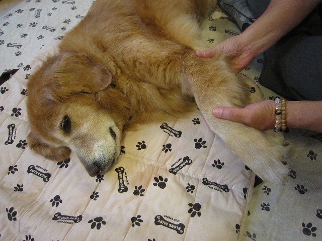 ファイル 1813-2.jpg