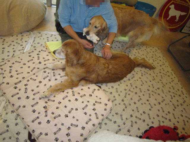 ファイル 1813-3.jpg