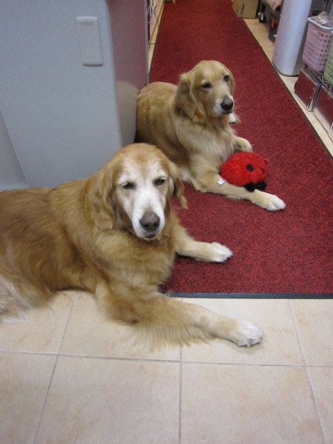 ファイル 1813-5.jpg