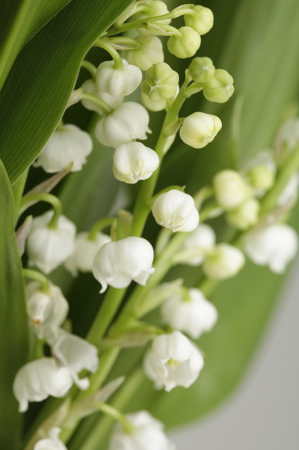 ファイル 1814-2.jpg