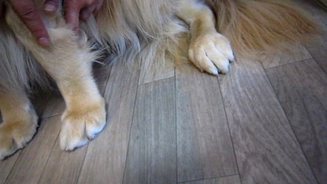 ファイル 1816-5.jpg