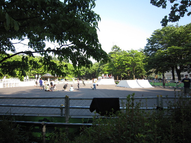 ファイル 1817-1.jpg