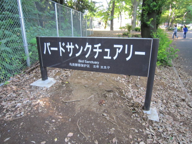 ファイル 1818-4.jpg