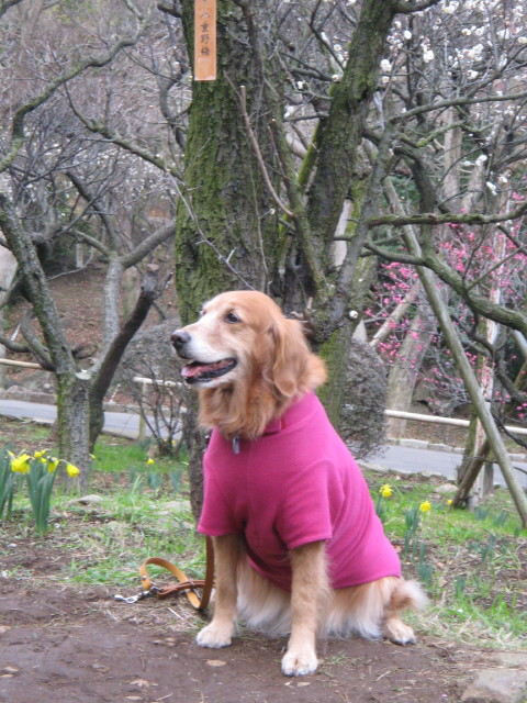 ファイル 182-4.jpg