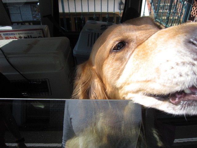 ファイル 1821-2.jpg